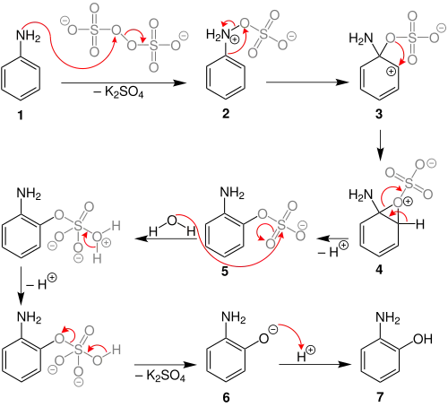 The mechanism of the Boyland-Sims oxidation