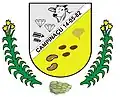 Coat of arms of Campinaçu
