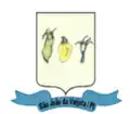 Coat of arms of São João da Varjota
