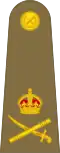 Lieutenant-general