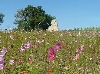 Lacou Dauzena Roman ruins at Brossac (16), France