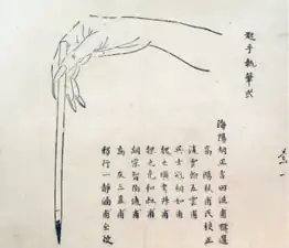 Diagram of correct brush position