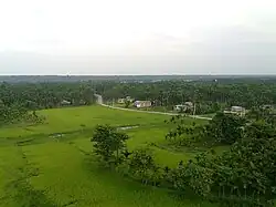 Village scene of Budhabare with corn fields and betelnut trees