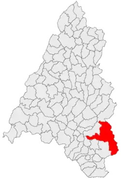 Location in Bihor County