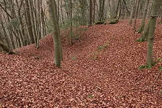 Probably the cellar pit of a castle building. Centre right: the L-shaped foundation wall remains (November&nbsp;2013)
