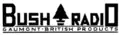 Bush Radio logo circa 1935.