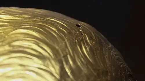 Hole and crack on a gold surface.