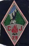 Insignia of CJF 29 - Team 10.