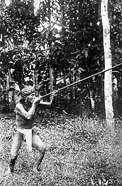 A Dayak man using a blowgun (Dutch East Indies, c.1920)