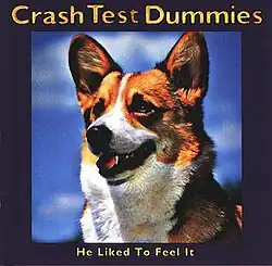 A picture of a domestic dog, facing slightly to the left, with its mouth ajar. The fur on its pricked ears and surrounding its eyes is orange-brown, while the fur on its muzzle and chest is white. The dog's nose is black. Surrounding the picture is a navy-blue border. On the top border, spanning across the entire line, is "Crash Test Dummies". On the bottom border, written in smaller print, is "He Liked To Feel It".