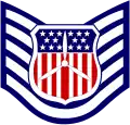 Civil Air Patrol cadet technical sergeant insignia
