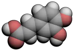 3D space filling model of caffeic acid