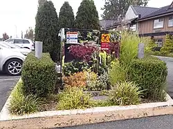 Camouflaged transformer in Langley City