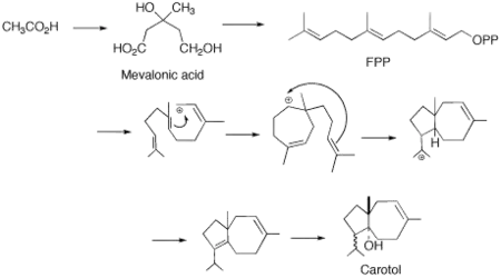 Proposed cyclization of FPP to Carotol.