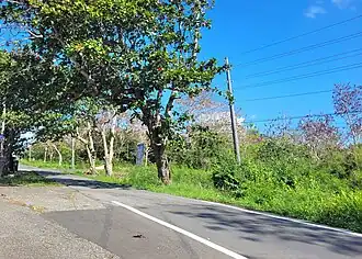 Puerto Rico Highway 6681 in Cambalache