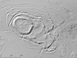 Castromaior's relief