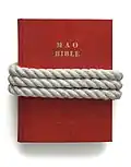 MAO-BIBLE 1987 / book, rope, acrylic paint / 30 × 38 × 8&nbsp;cm, In the possession of the artist