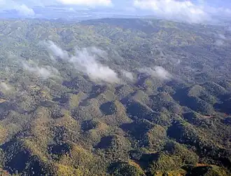 Aerial view of the Chocolate Hills, Bohol, Philippines, exhibiting both mogotes and cockpit karst characteristics.