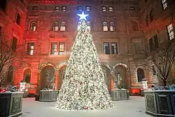 The courtyard as seen during Christmas, with an illuminated Christmas tree in the center