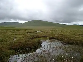 Small lochans on the accessible area of the Forsinard reserve