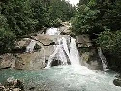 A creek travels through a series of small waterfalls over rocks in a forested environment