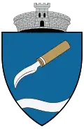 Coat of arms of Scorțaru Nou