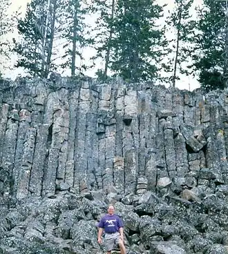 Columnar Jointing in Yellowstone National Park.