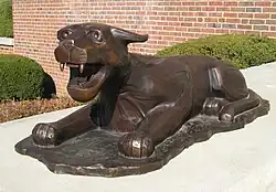 A mountain lion in front of the library