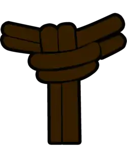 Corda Marrom - Capoeira, Professor/a