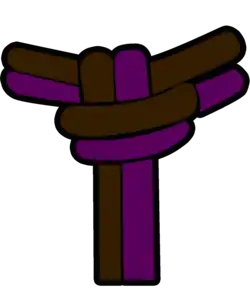 Corda Roxa e Marrom - Capoeira, Instrutor/a