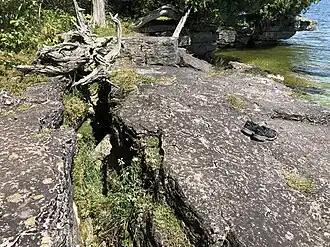 Crevice in the rock, Lynd Point vicinity