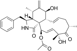 Cytochalasin D