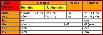 A table with headings in French showing plural noun declensions; the caption links to a text equivalent.