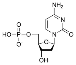 Deoxycytidine monophosphate