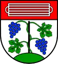 Coat of arms of Großlangenfeld