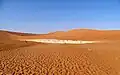 Deadvlei early in the morning before most visitors start arriving.