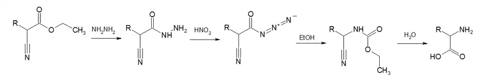 Darapsky degradation