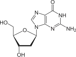 Chemical structure of deoxyguanosine