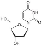 Chemical structure of deoxyuridine