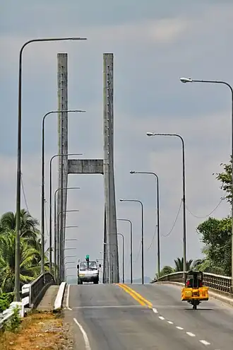 Diosdado Macapagal Bridge.jpg