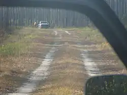 Hunters listening for the direction of dogs following the scent of a white tail deer
