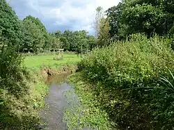 Humphreston Brook flowing through Donington and Albrighton Nature Reserve