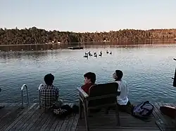 Ducks invade the swimming area on Long Pond