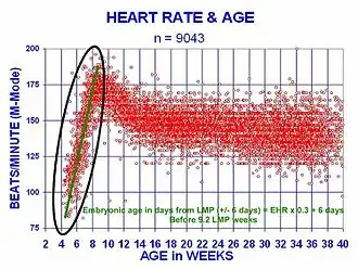 M-mode sonography measuring embryonic heart rate.