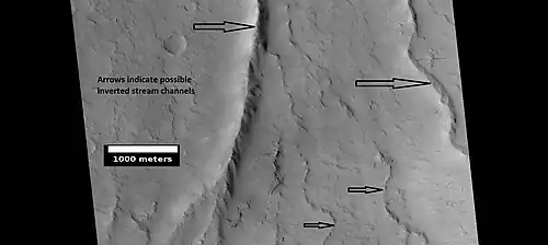 Possible inverted stream channels, Amazonis quadrangle, as seen by HiRISE under HiWish program. The ridges were probably once stream valleys that have become full of sediment and cemented. So, they became hardened against erosion which removed surrounding material. Illumination is from the left (west).
