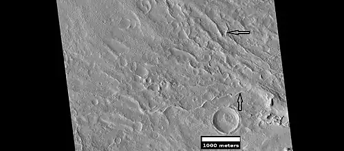 Inverted stream channels on crater slope, as seen by HiRISE under HiWish program