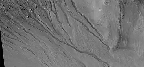 Close-up of gully network showing branched channels and curves; these characteristics suggest creation by a fluid. Note: this is an enlargement of a previous wide view of gullies in a crater, as seen by HiRISE under HiWish program. Location is Eridania quadrangle.