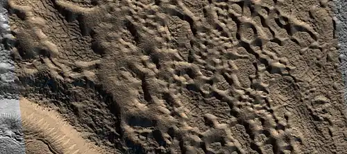 Close view of upper plains unit showing hollows--where ice left the ground. Picture is about 1 Km across. This is part of an image named HiRISE picture of the day for October 21, 2024.