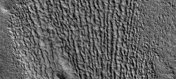 Close view of lineated valley fill (LVF) The image is about 1 km wide.