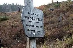 a wooden sign bolted to a tree trunk reads "Eagle Cap Wilderness; Wallowa–Whitman National Forest"